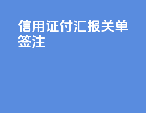 信用证付汇报关单签注
