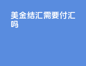 美金结汇需要付汇吗