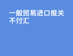 一般贸易进口报关不付汇