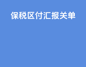 保税区付汇报关单