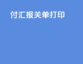 付汇报关单打印