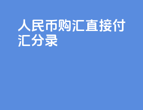 人民币购汇直接付汇分录