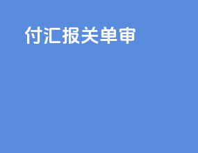 付汇报关单审