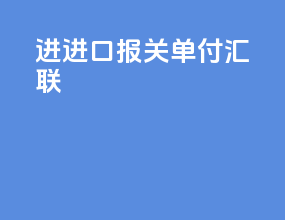 进进口报关单付汇联
