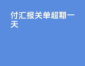 付汇报关单超期一天