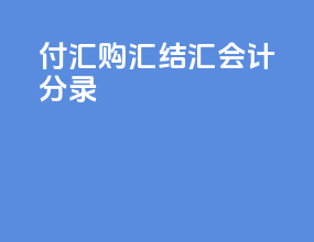 付汇购汇结汇会计分录