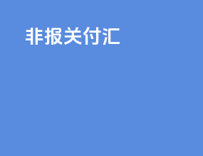 非报关付汇