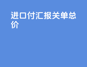 进口付汇报关单总价