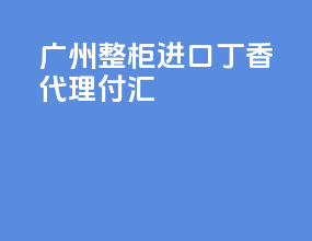 广州整柜进口丁香代理付汇