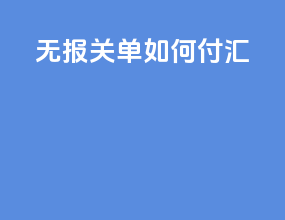 无报关单如何付汇
