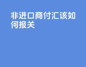 非进口商付汇该如何报关