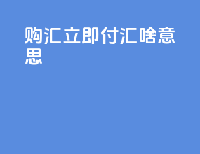 购汇立即付汇啥意思