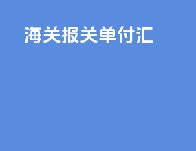 海关9700报关单付汇