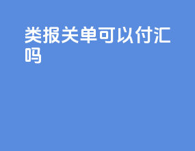 c类报关单可以付汇吗