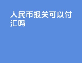 人民币报关可以付汇吗