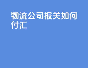 物流公司报关如何付汇