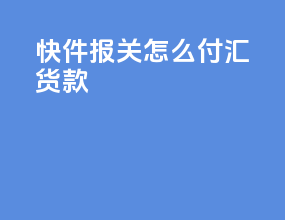 快件报关怎么付汇货款