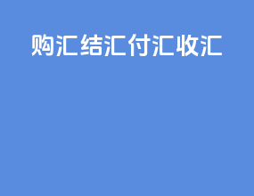 购汇结汇付汇收汇