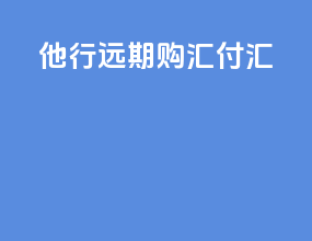 他行远期购汇付汇