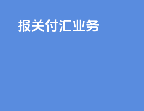 报关付汇业务