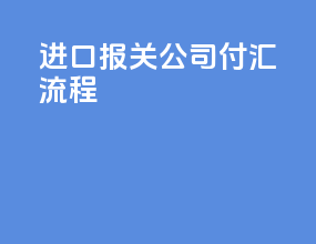 进口报关公司付汇流程