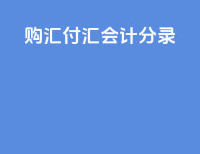 购汇付汇会计分录