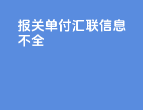 报关单付汇联 信息不全