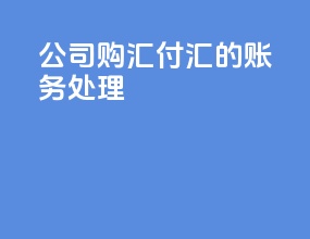 公司购汇付汇的账务处理
