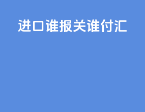 进口 谁报关谁付汇
