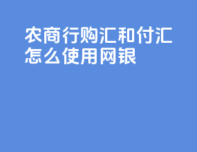农商行购汇和付汇怎么使用网银