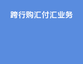 跨行购汇付汇业务