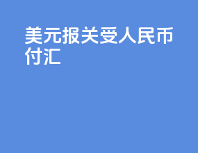 美元报关受人民币付汇