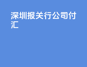 深圳报关行公司 付汇