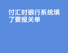 付汇时银行系统填了要报关单