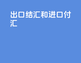 出口结汇和进口付汇