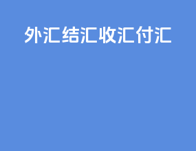 外汇结汇收汇付汇