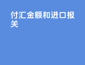 付汇金额和进口报关