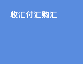 A收回B付汇C购汇