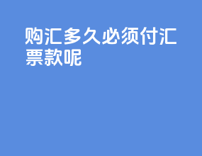 购汇多久必须付汇票款呢