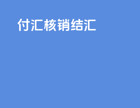 付汇核销结汇