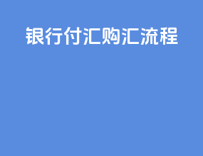 银行付汇购汇流程