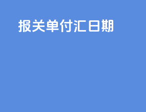 报关单付汇日期