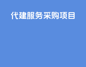 代建服务采购项目