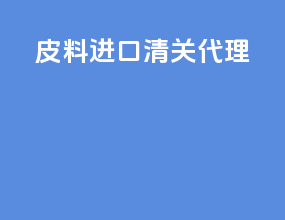 皮料进口清关代理
