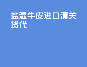 盐湿牛皮进口清关货代