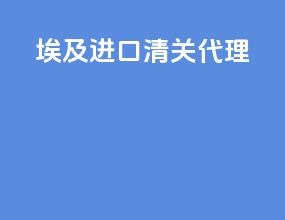 埃及进口清关代理