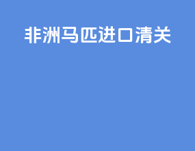 非洲马匹进口清关