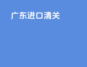 广东进口清关