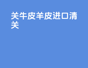 关牛皮羊皮进口清关