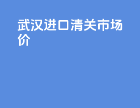 武汉进口清关市场价